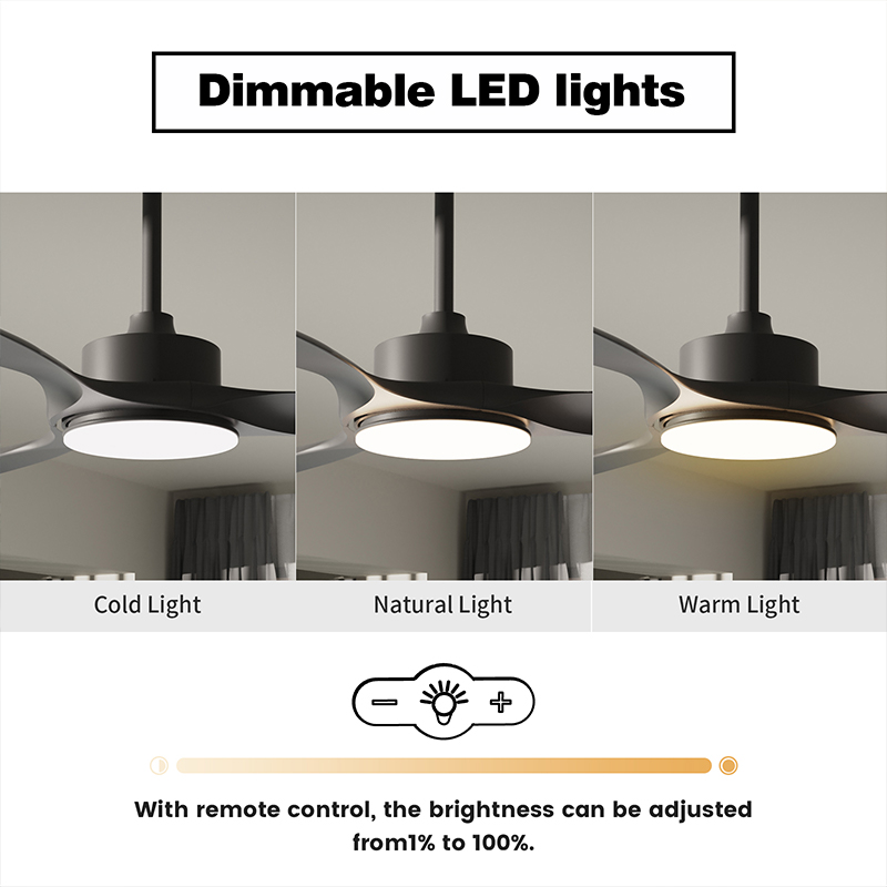 Ventilateurs de plafond noirs de 52 po avec télécommande et lumières