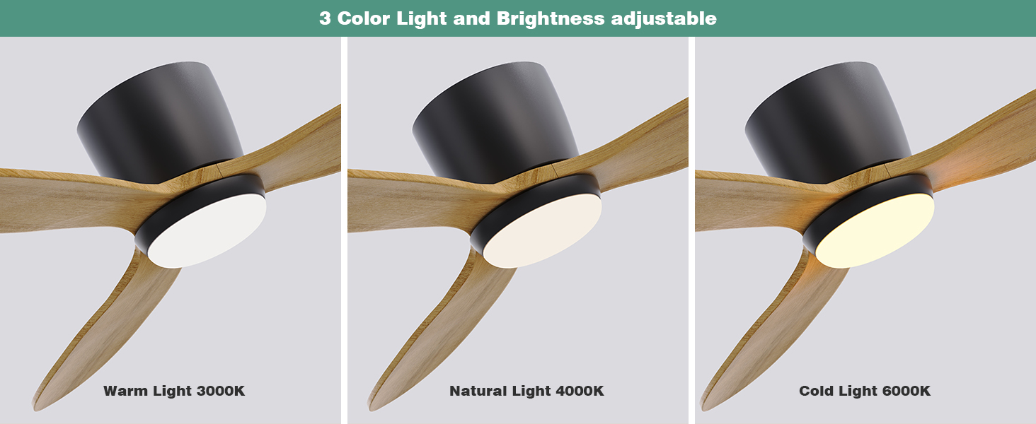 La lumière et la luminosité à 3 couleurs avec une fonction de mémoire peuvent être ajustées