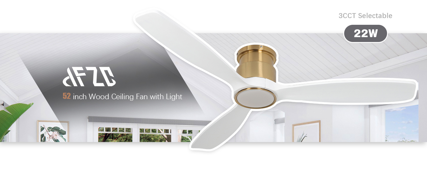lumière du ventilateur de plafond