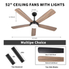 Ventilateur de plafond avec télécommande 52 pouces 5 pales doubles