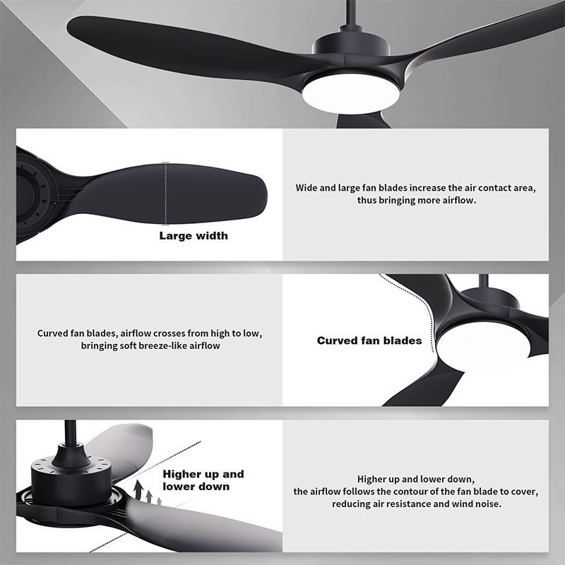 Ventilateurs de plafond noirs de 52 po avec télécommande et lumières