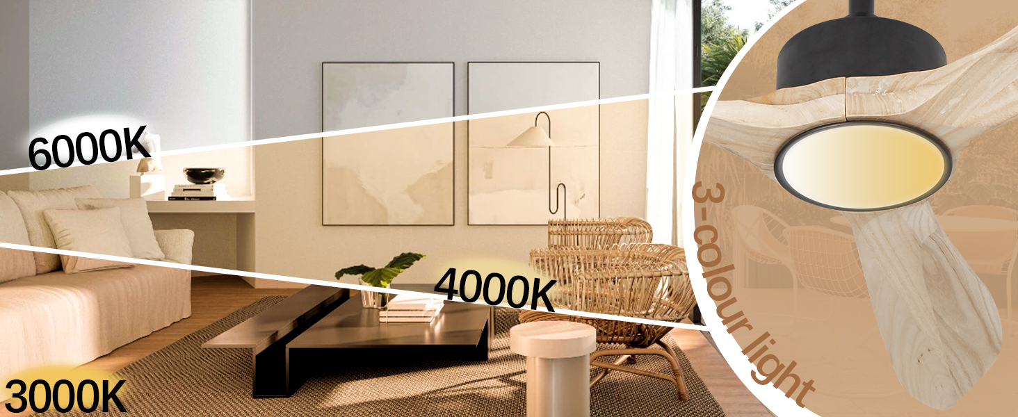 3000K/4000K/6000K sélectionnable