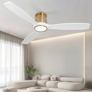 Ventilateur de plafond moderne à profil bas de 52 po avec lumière