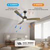 Ventilateurs de plafond à pales en bois ambré avec lumières et télécommande