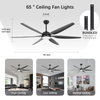Ventilateur de plafond de 65 pouces avec lumières et télécommande noir
