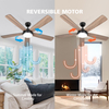 Ventilateur de plafond avec télécommande 52 pouces 5 pales doubles