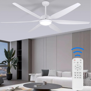 Ventilateur de plafond de 65 pouces avec lumières et télécommande