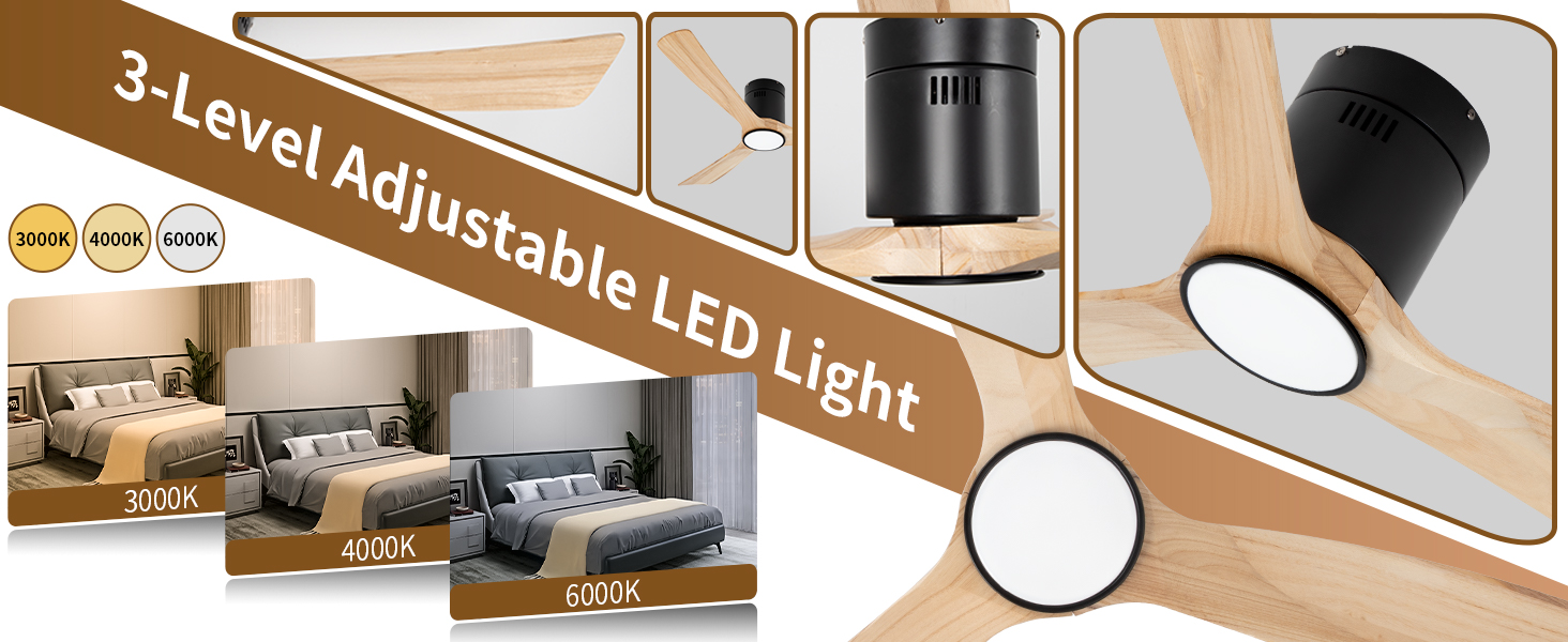 Lumière LED réglable à 3 niveaux