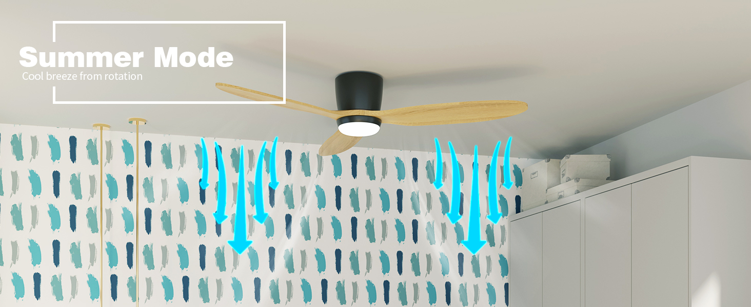 Lumière du ventilateur de plafond mode été
