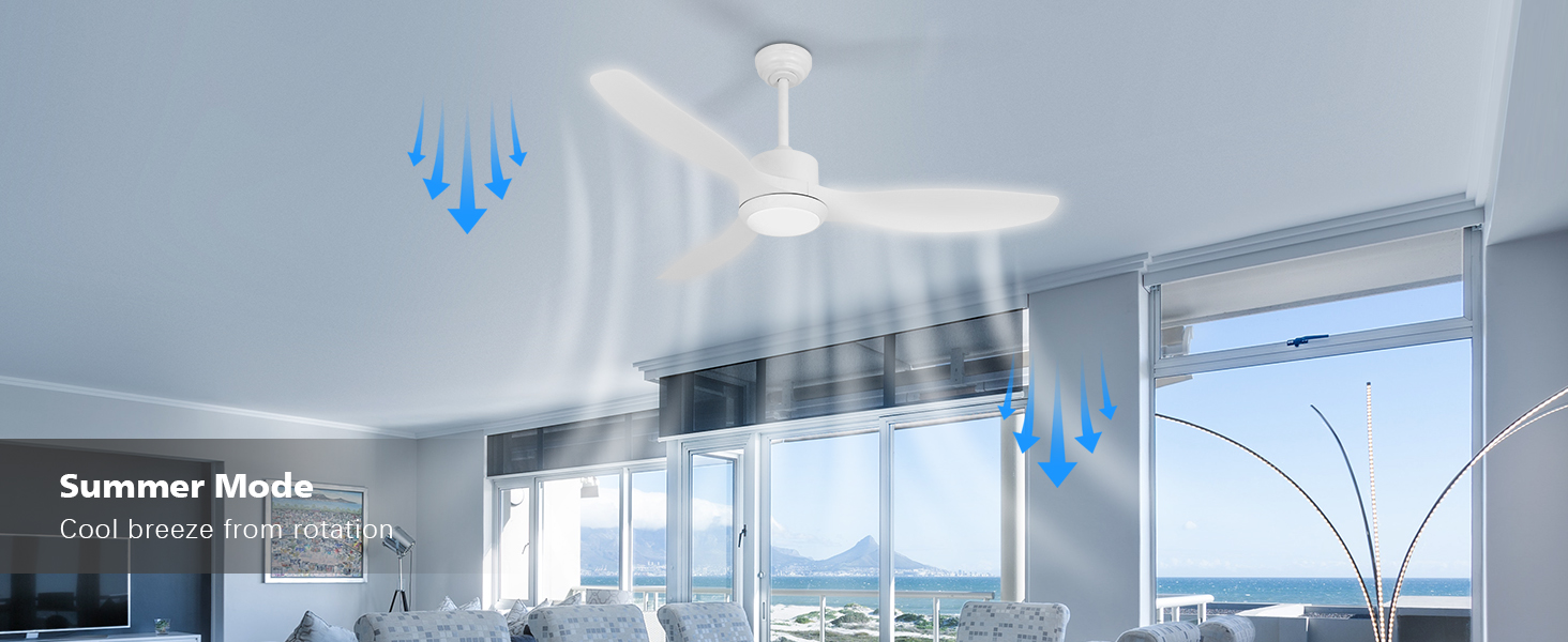 Ventilateur de plafond avec circulation d'air froid