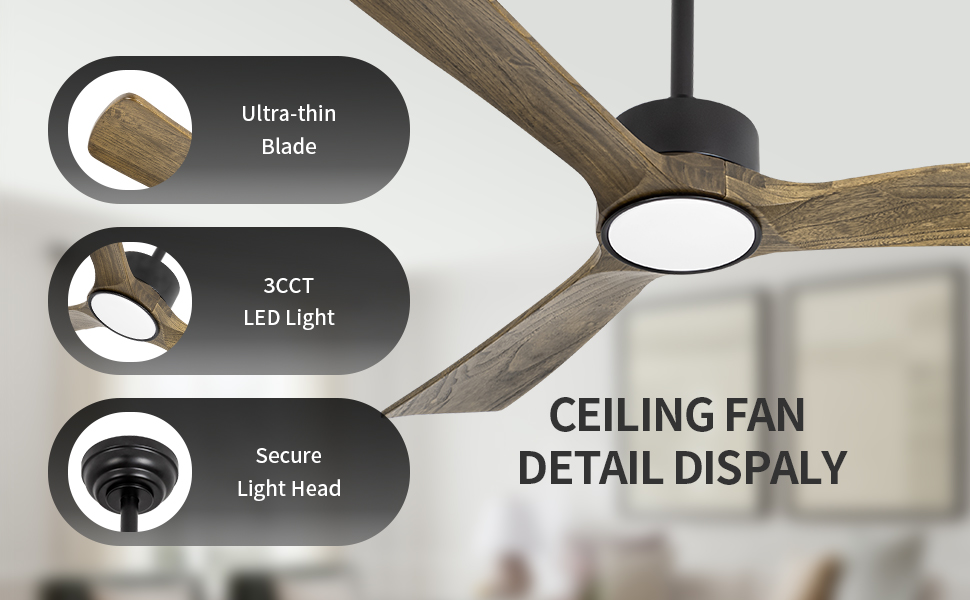 Détails de l'éclairage du ventilateur de plafond