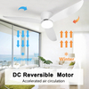 Ventilateur de plafond blanc moderne à profil bas de 52 po avec lumière